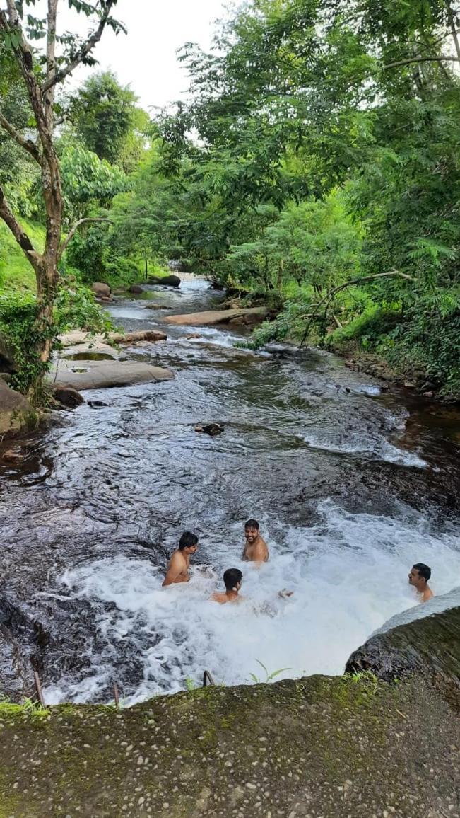 Wildglamps Athirappilly Exterior foto
